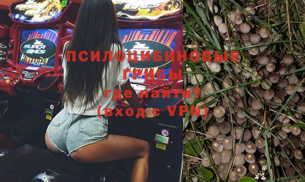 прущая мука Инсар