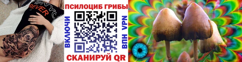 Купить где  Иннополис  Галлюциногенные грибы Psilocybe 